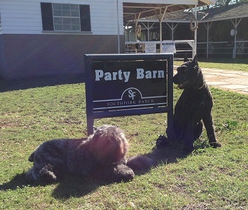 NV & Bach; photo says it all!